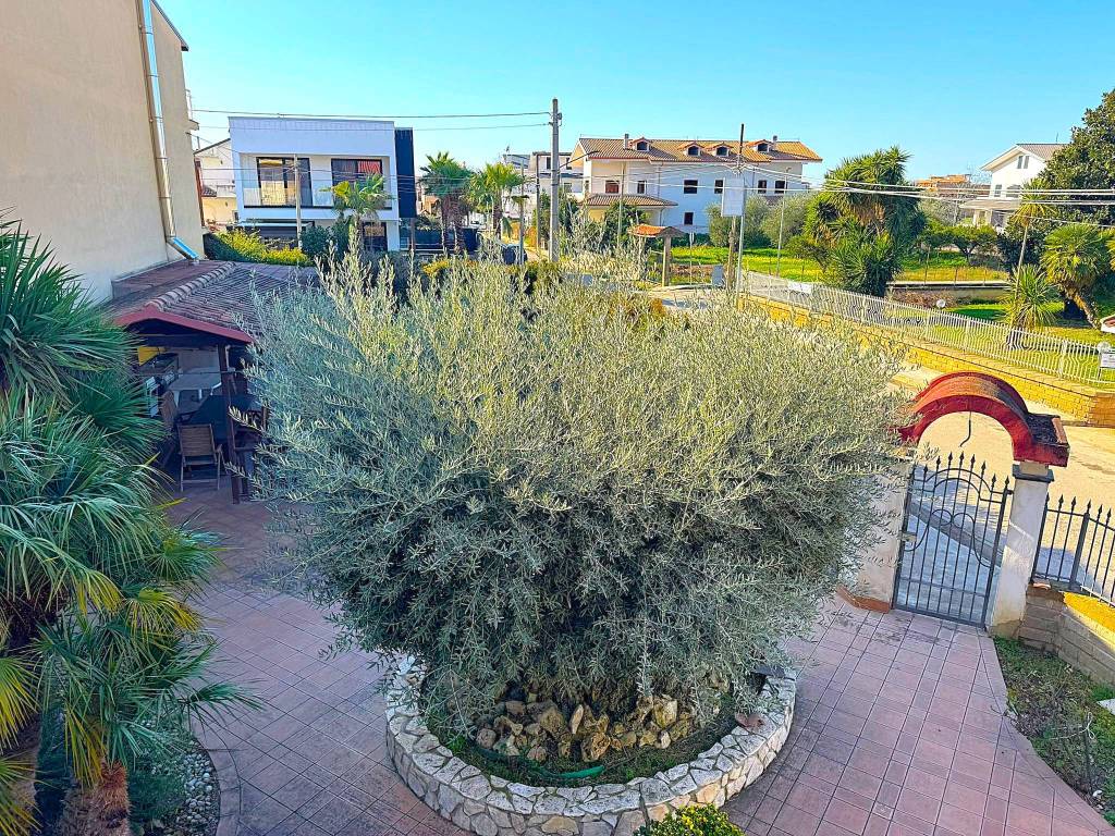 Villa a Cellole in Via Isonzo - Foto 4