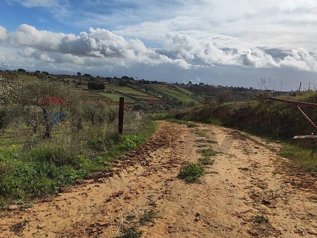 Terreno a Caltagirone in C.DA REGALSEMI - Foto 2