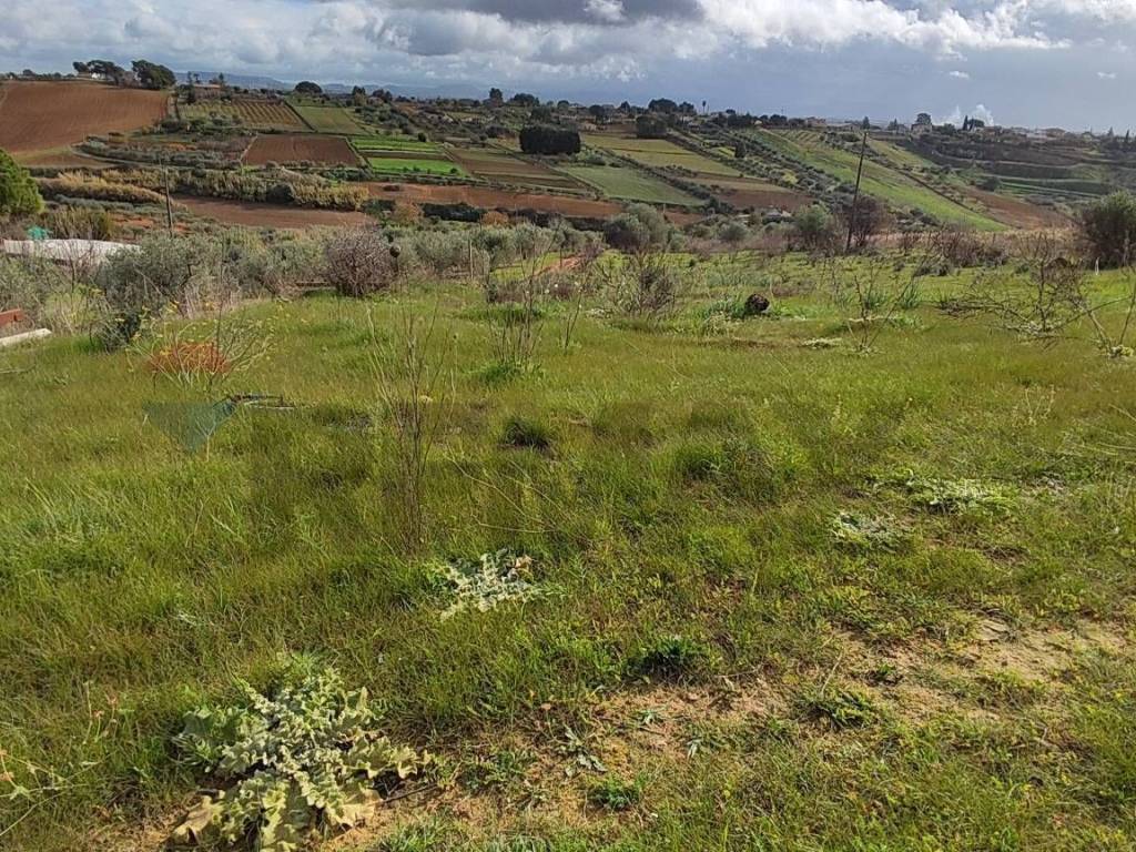 Terreno a Caltagirone in C.DA REGALSEMI - Foto 3