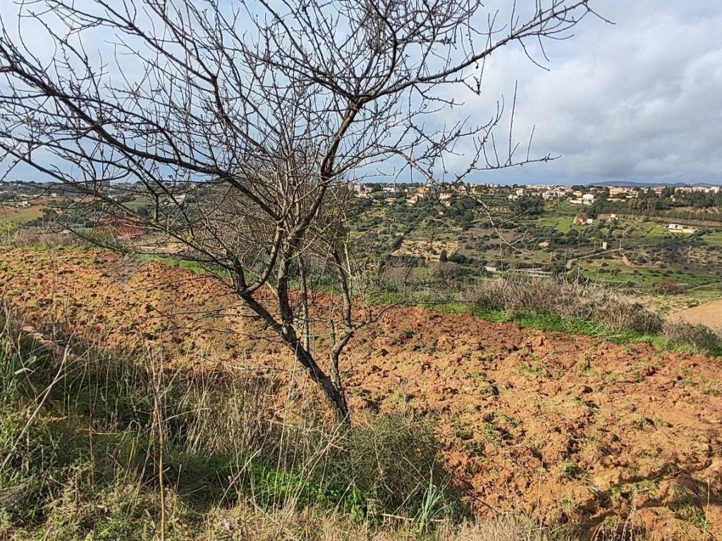 Terreno a Caltagirone in C.DA REGALSEMI - Foto 4