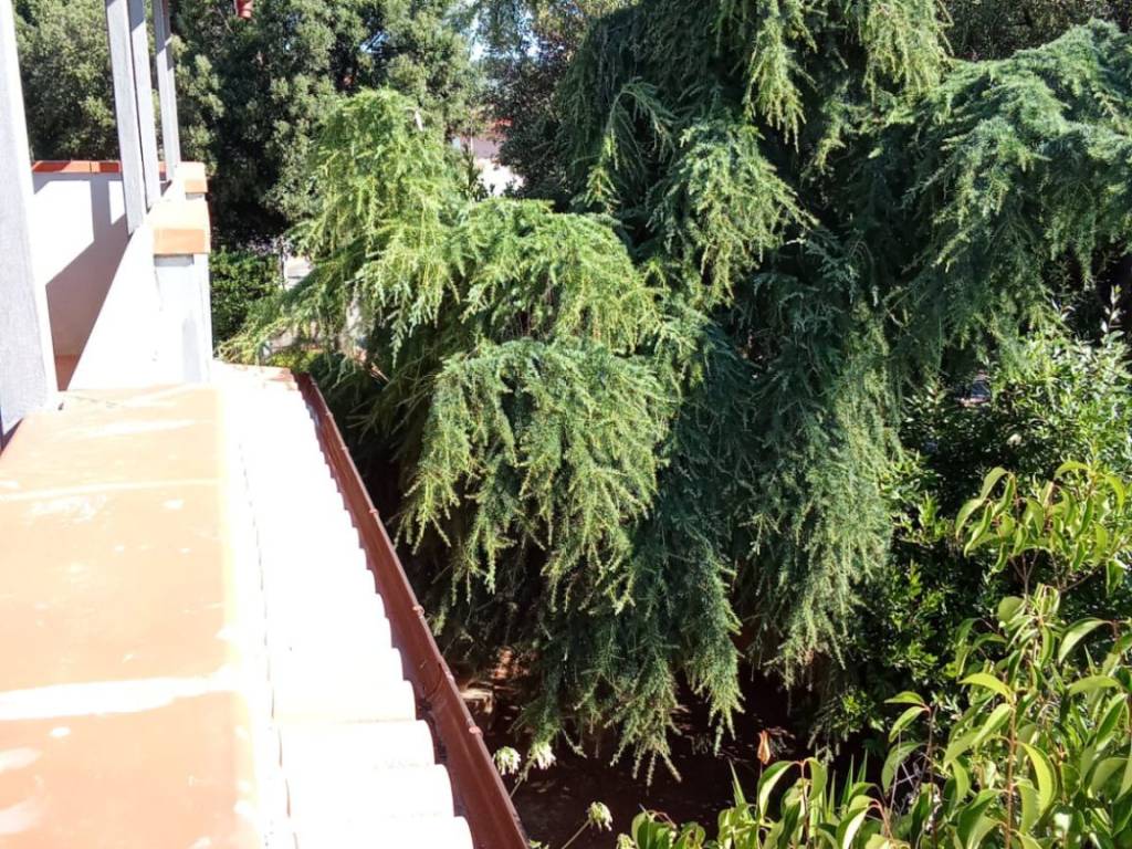 Villa a Follonica - Foto 4