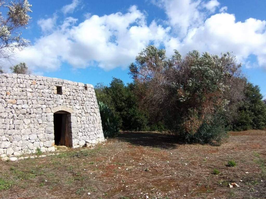 Terreno a Salve - Foto 3
