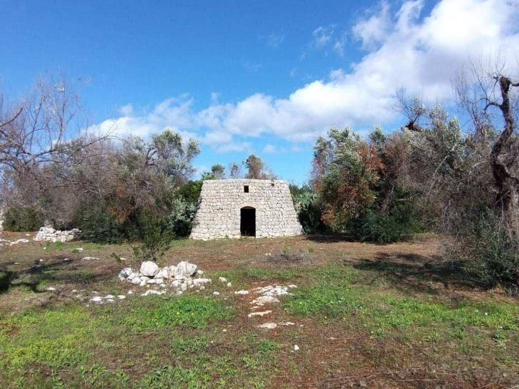 Terreno a Salve - Foto 4