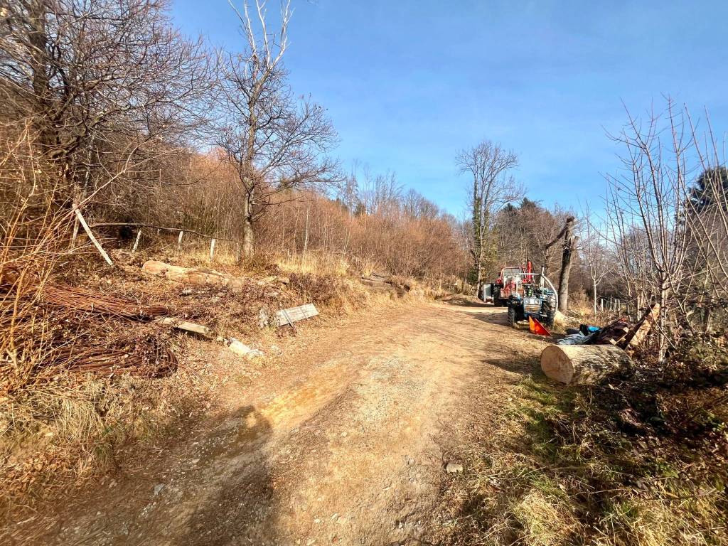 Terreno a Miazzina in Via Risorgimento - Foto 5