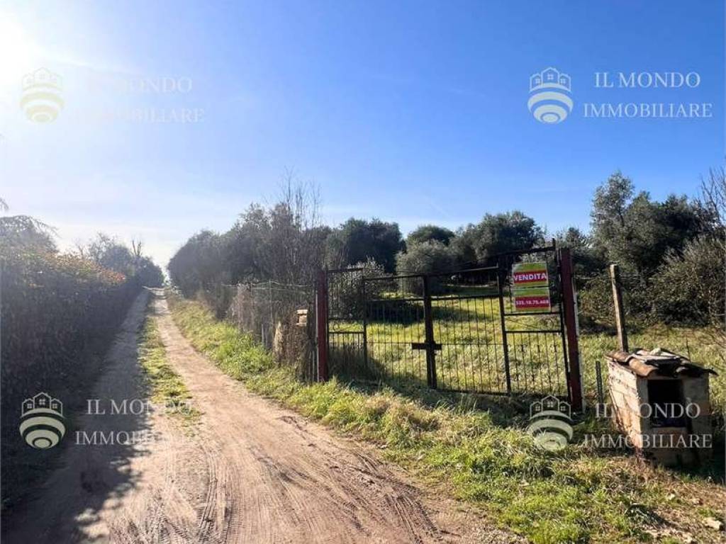 Terreno a Montelibretti in Via Polledrara , 15 - Foto 2