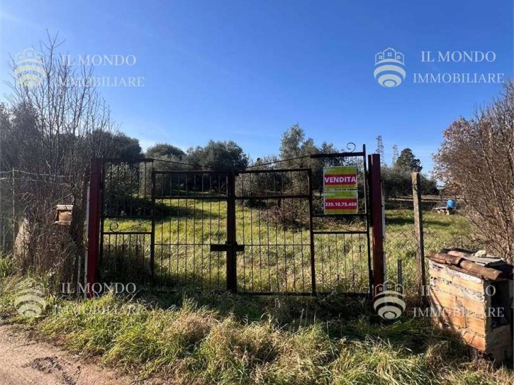 Terreno a Montelibretti in Via Polledrara , 15 - Foto 3