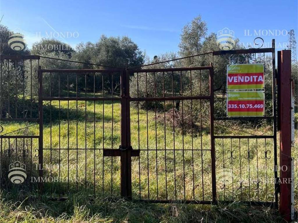 Terreno a Montelibretti in Via Polledrara , 15 - Foto 4