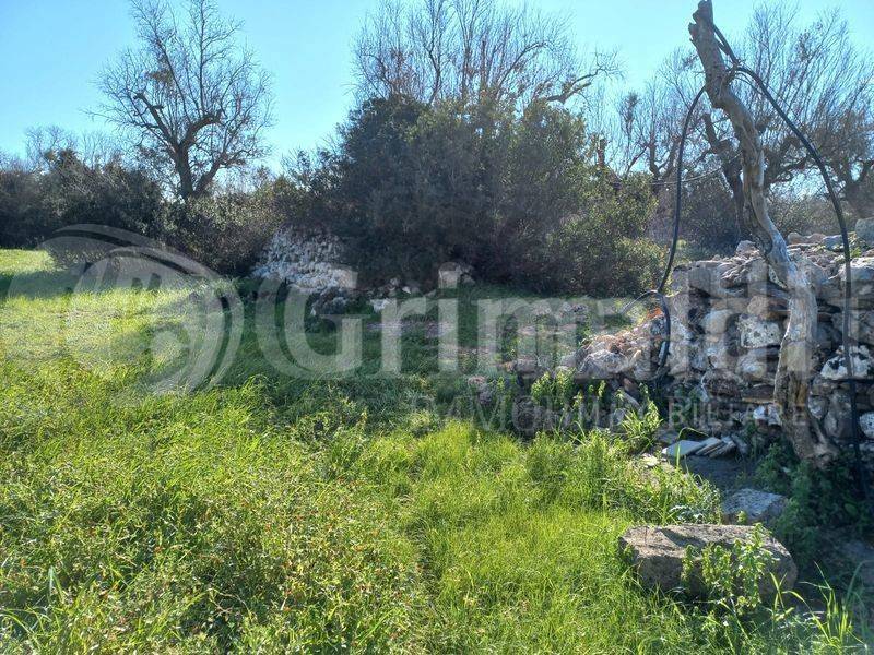 Terreno a Ugento in contrada Masseria Grande, 10 - Foto 2