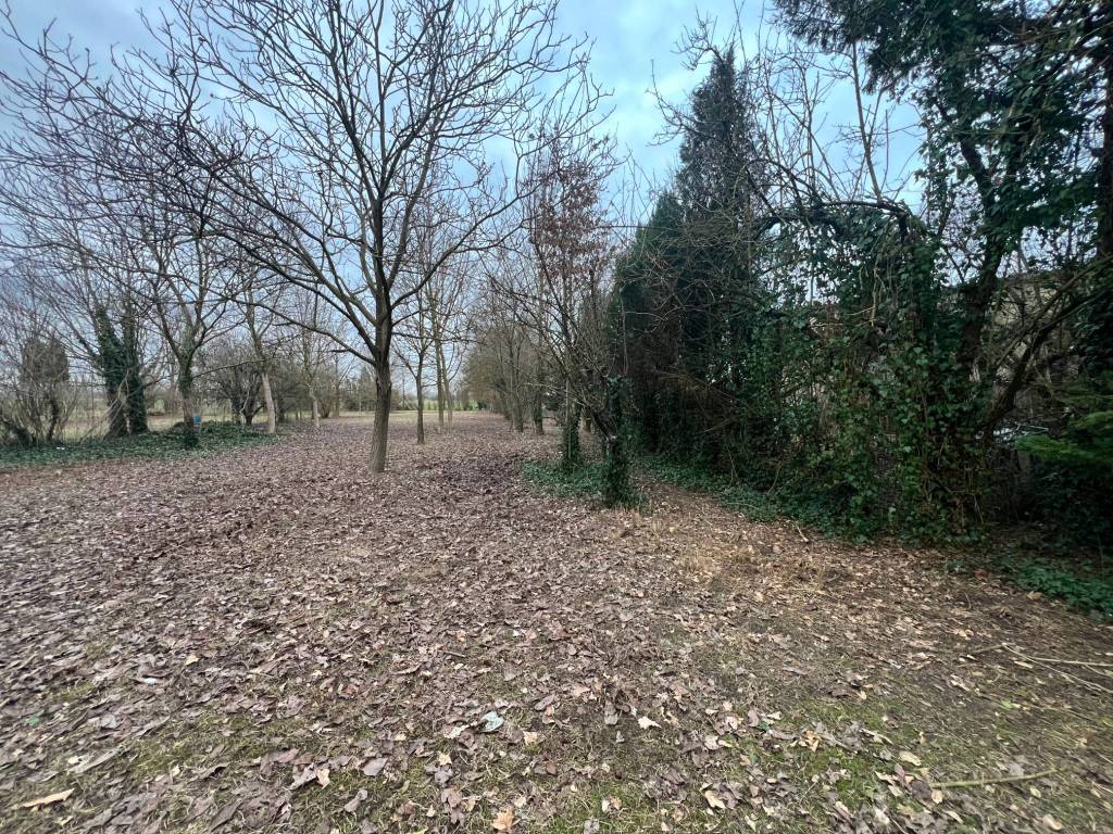 Villa a Luzzara in Via Casabruciata - Foto 5