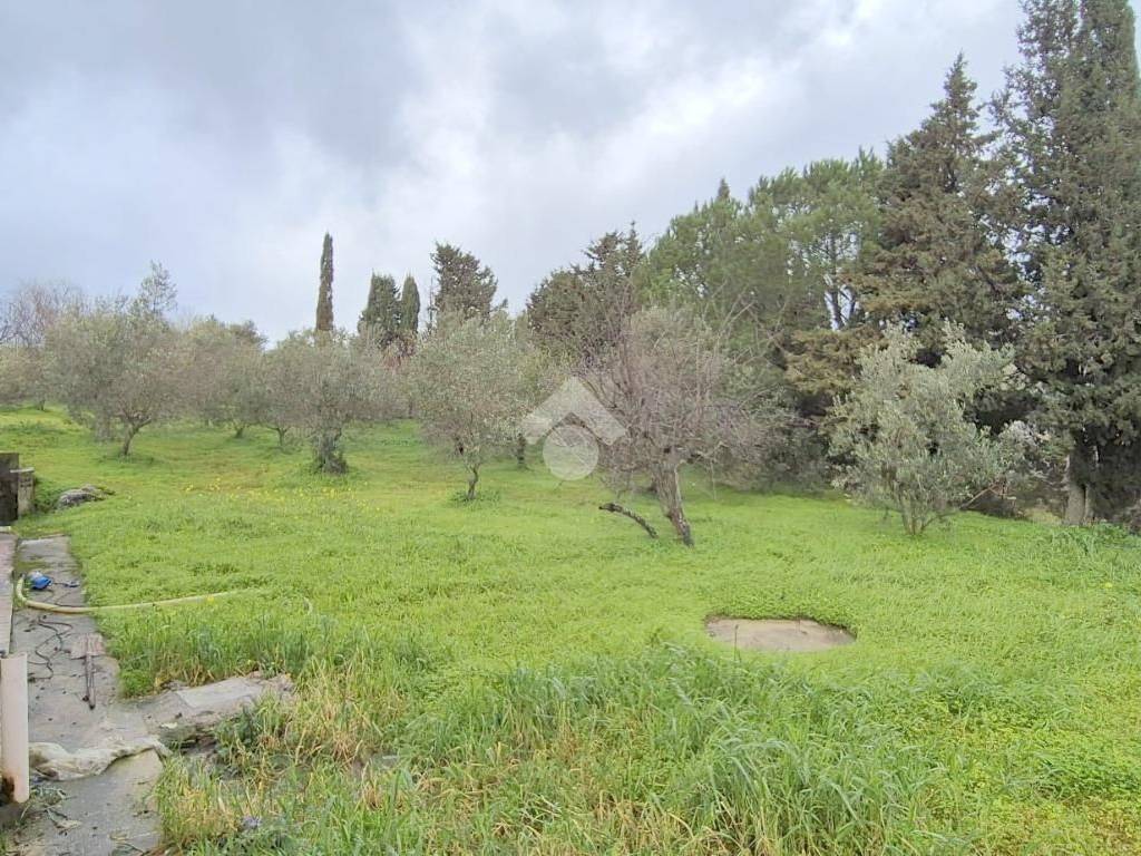 Villa a Monreale in Via Molino - Foto 3