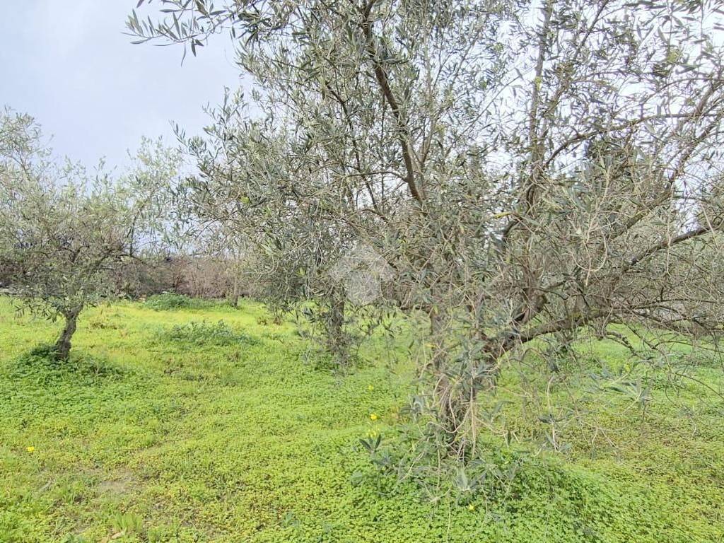 Villa a Monreale in Via Molino - Foto 4