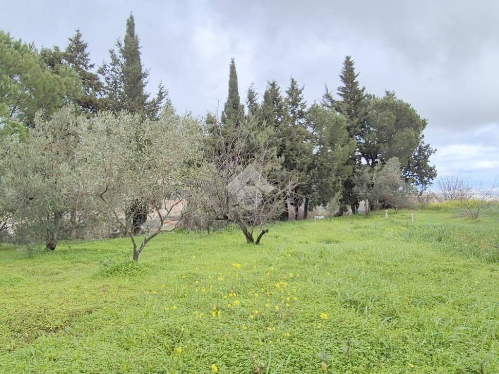 Villa a Monreale in Via Molino - Foto 5
