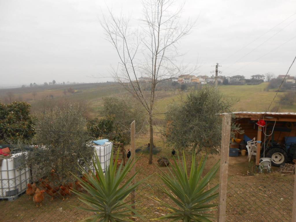 Casa indipendente a Castel san giovanni - Foto 5