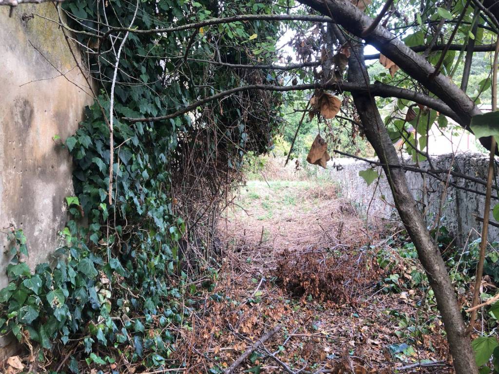 Casa indipendente a Calci in lungomonte pisano, 10 - Foto 2