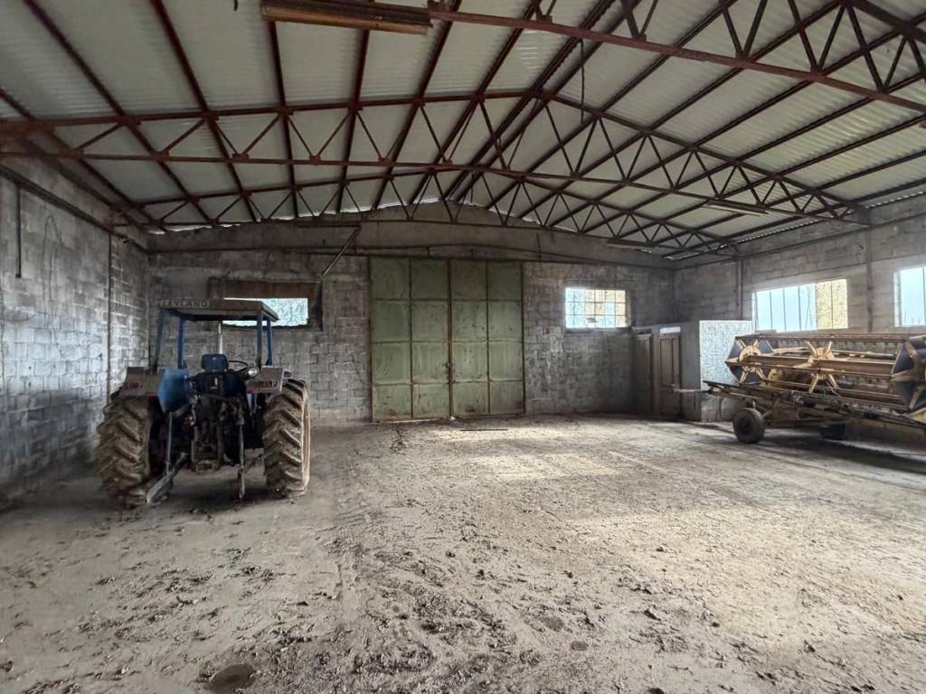 Terreno a Borgo veneto - Foto 4