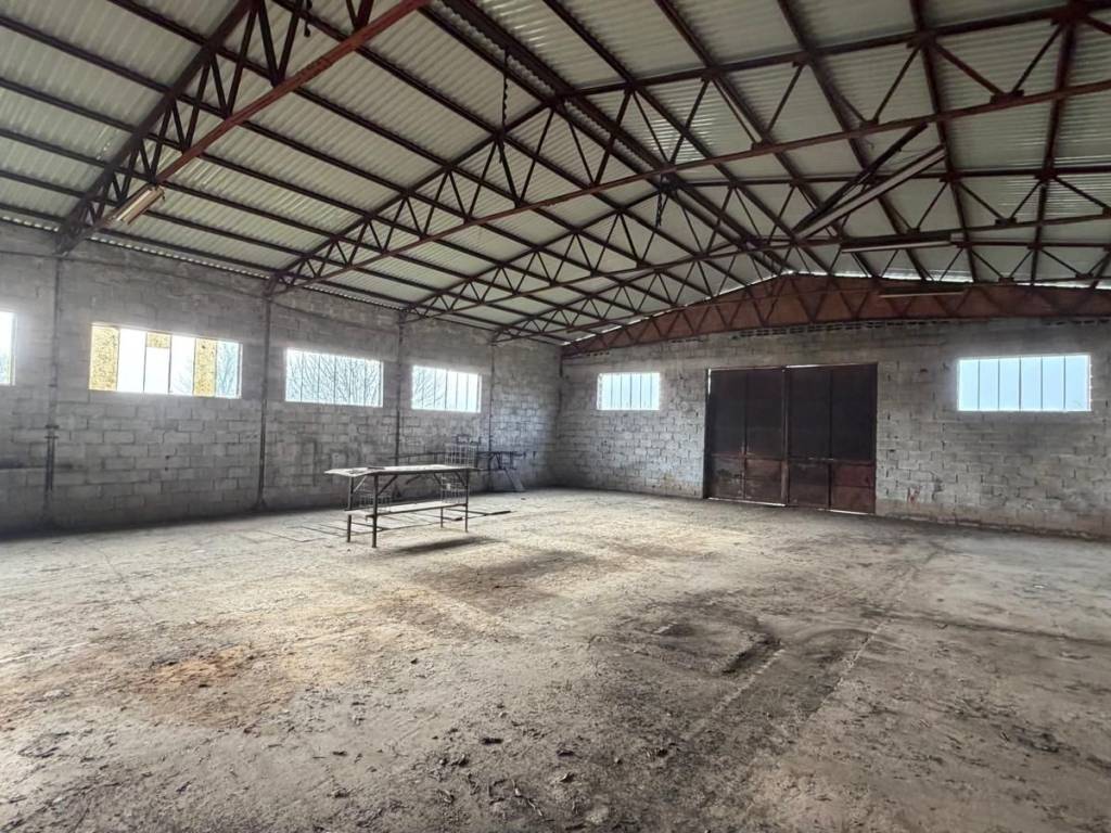 Terreno a Borgo veneto - Foto 5