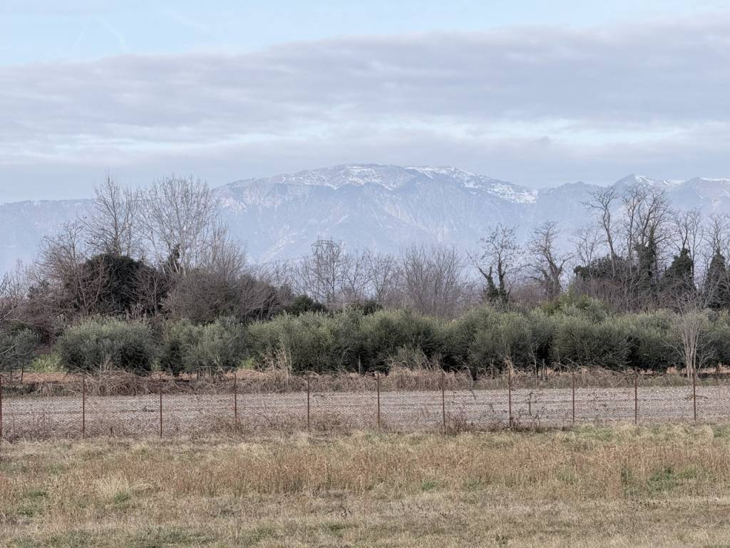 Terreno a Montebelluna in Via Storta - Foto 3