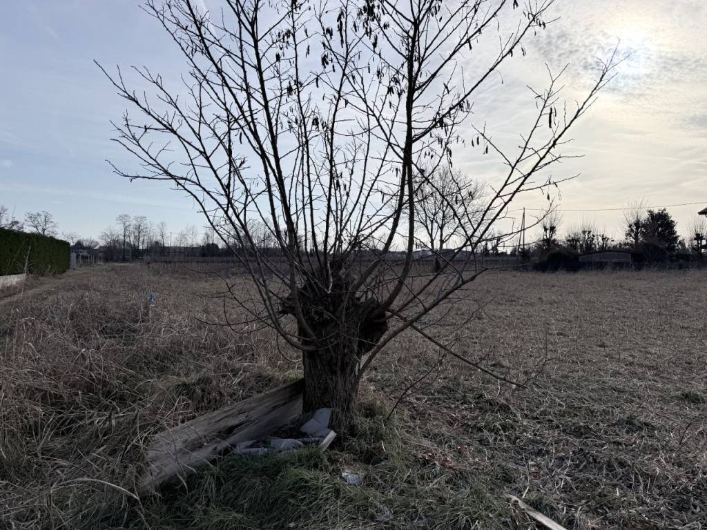 Terreno a Montebelluna in Via Storta - Foto 4