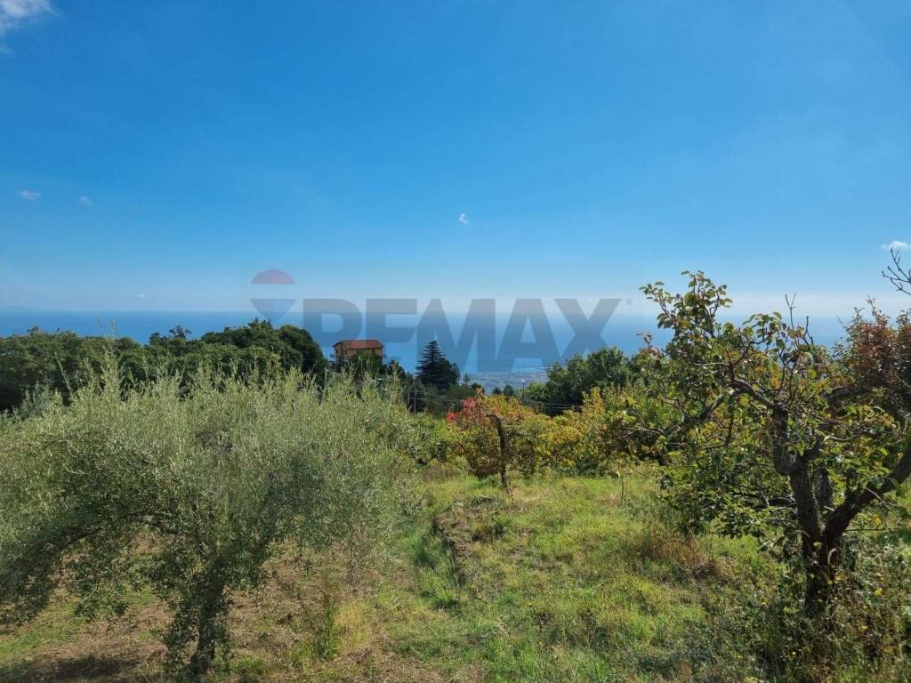 Terreno a Mascali in strada provinciale nunziata puntalazzo - Foto 2