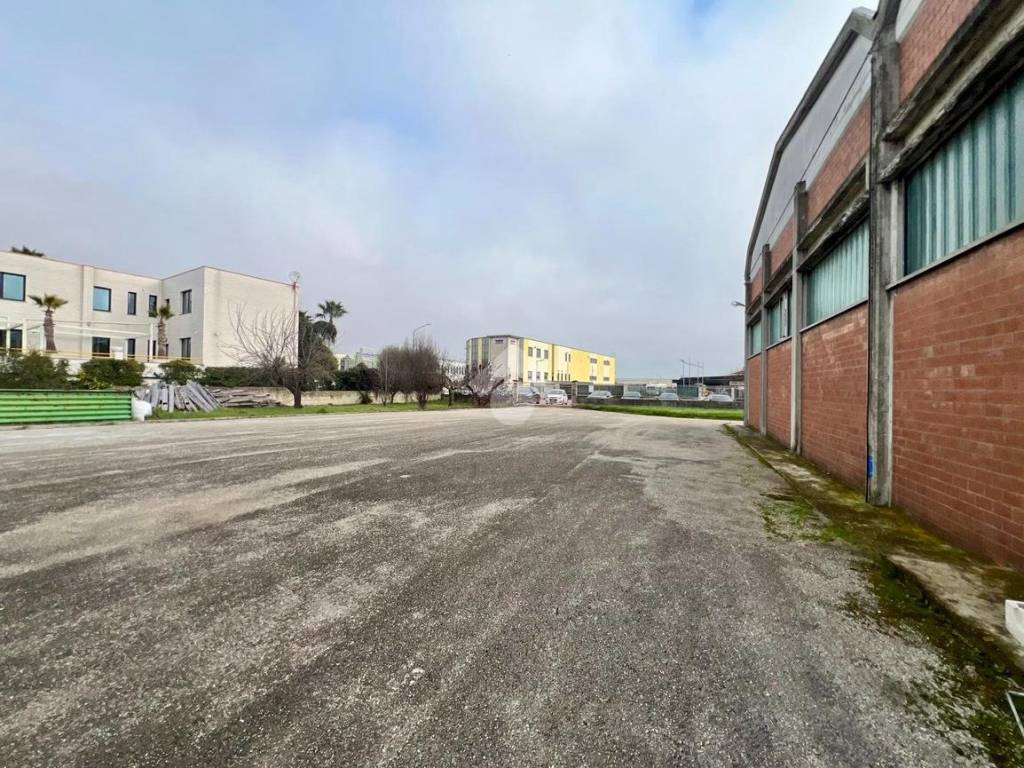 Immobile a Roseto degli abruzzi in Via scozia, 11 - Foto 2