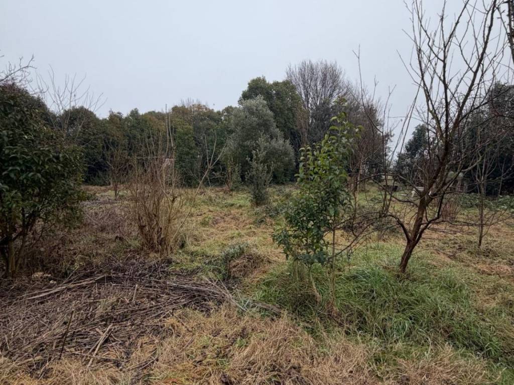 Terreno a Ravenna in Via del Muro Lungo - Foto 2