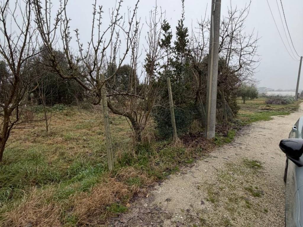 Terreno a Ravenna in Via del Muro Lungo - Foto 4