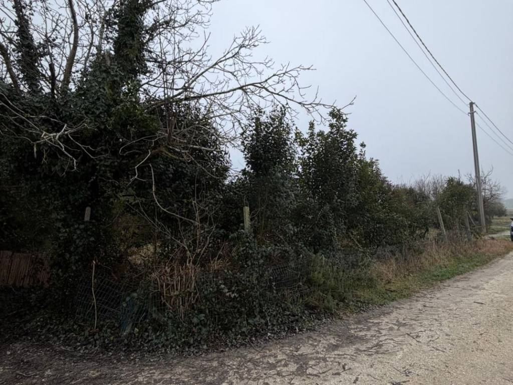 Terreno a Ravenna in Via del Muro Lungo - Foto 5