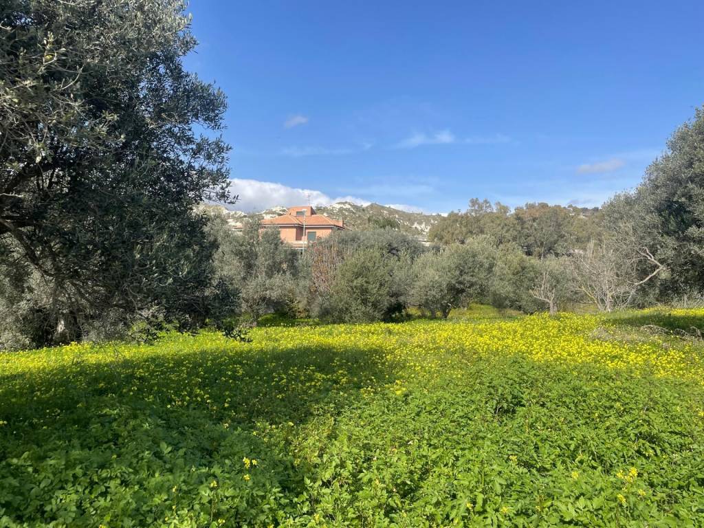 Terreno a Roccella ionica in Contrada Melissari - Foto 2