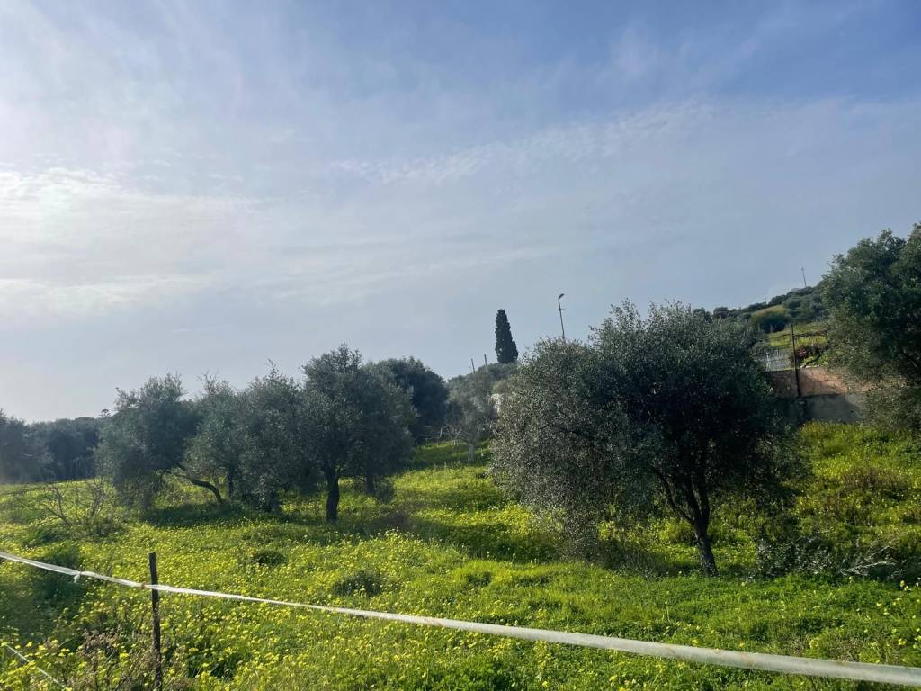 Terreno a Roccella ionica in Contrada Melissari - Foto 3