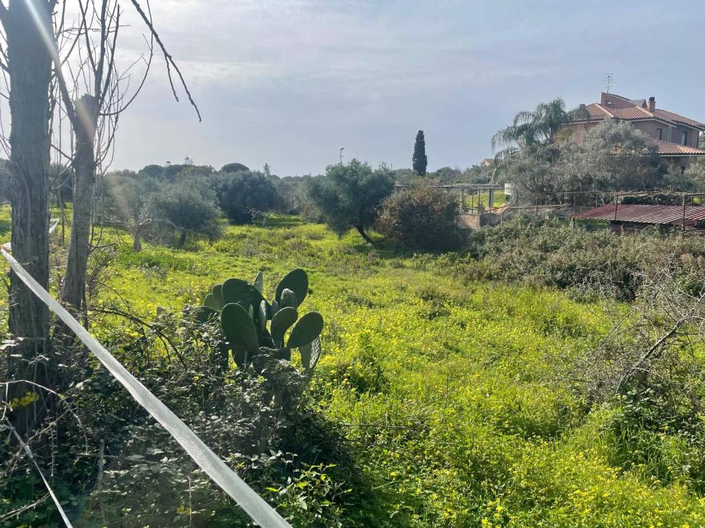 Terreno a Roccella ionica in Contrada Melissari - Foto 4