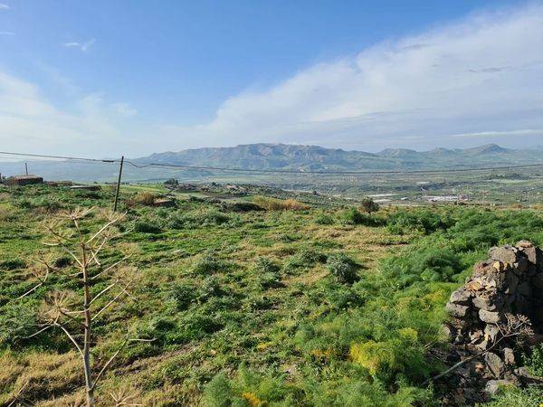 Terreno a Adrano in Strada Statale Occidentale Etnea - Foto 3