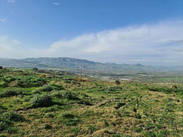 Terreno a Adrano in Strada Statale Occidentale Etnea - Foto 4