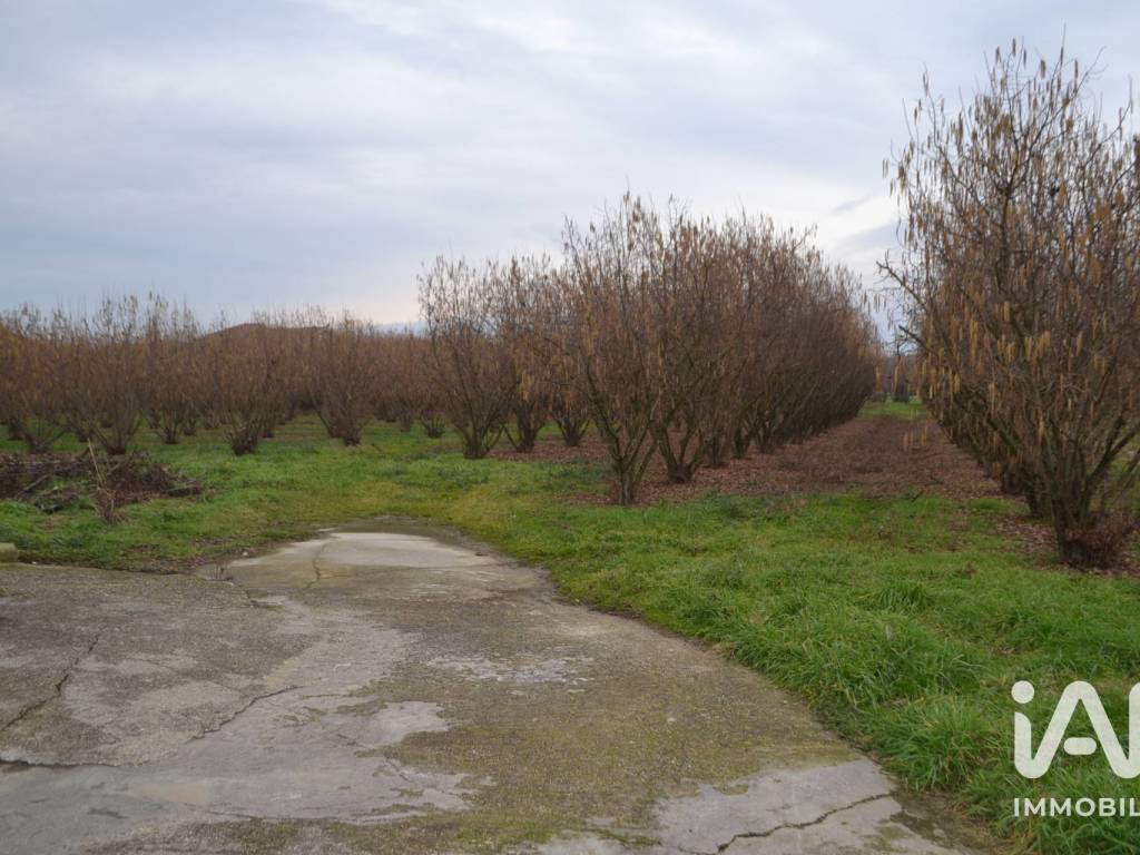 Rustico / casale a Guarene in Via MULINO VECCHIO, 5 - Foto 4