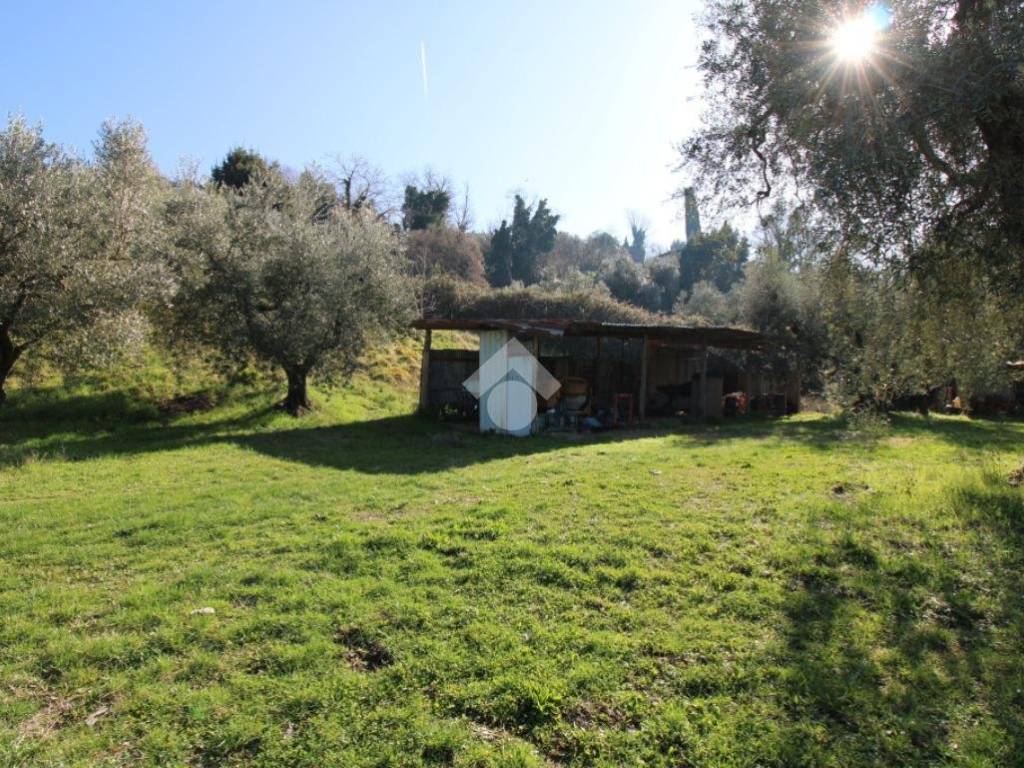 Terreno a Poggio mirteto in Via Carlo Parlagreco, 33 - Foto 5