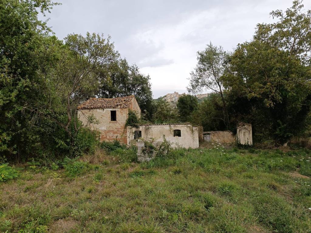 Rustico / casale a Torino di sangro in Contrada Vallone - Foto 5