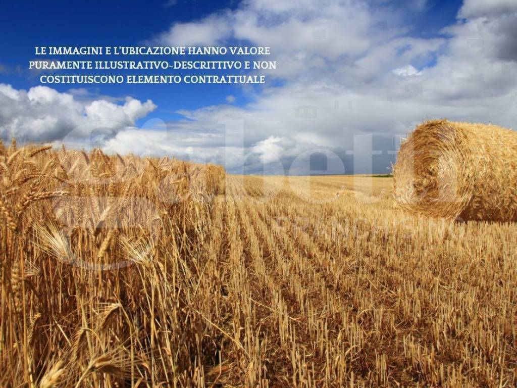 Terreno a Chioggia in CA' BIANCA - VIA GORZONE, 00 - Foto 4