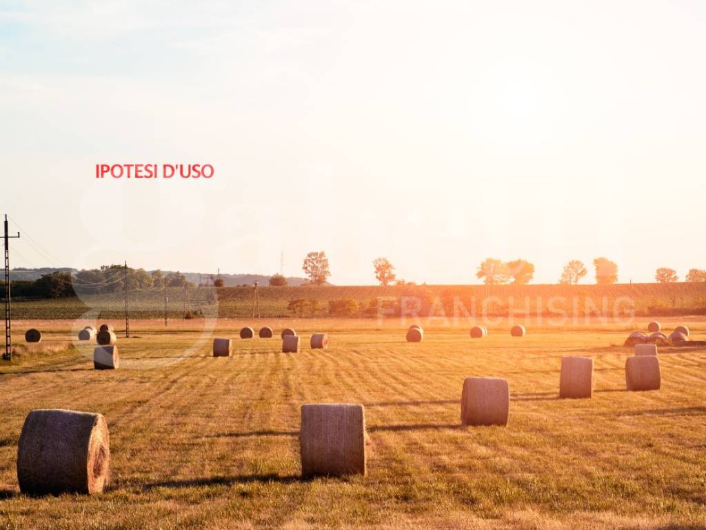 Terreno a Chioggia in CA' BIANCA - VIA GORZONE, 00 - Foto 5