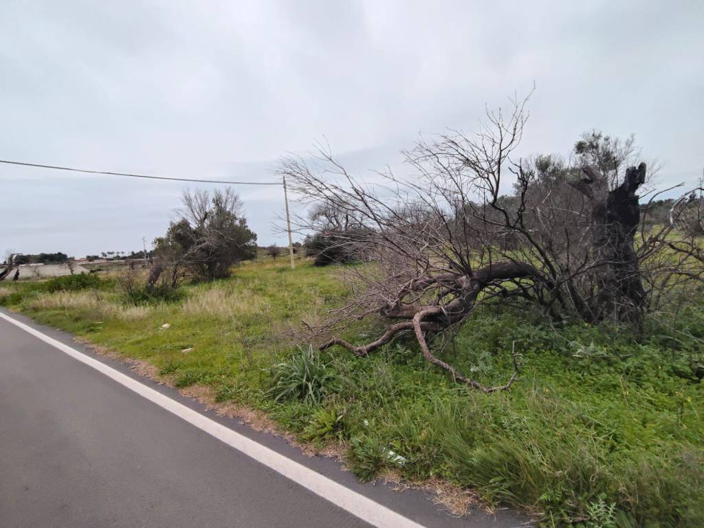 Terreno a Lecce in Via Giuseppe Agostino Roggerone - Foto 3
