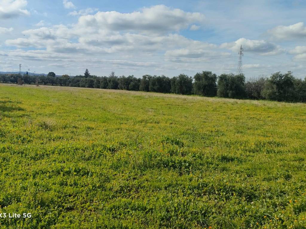 Terreno a Corato - Foto 2