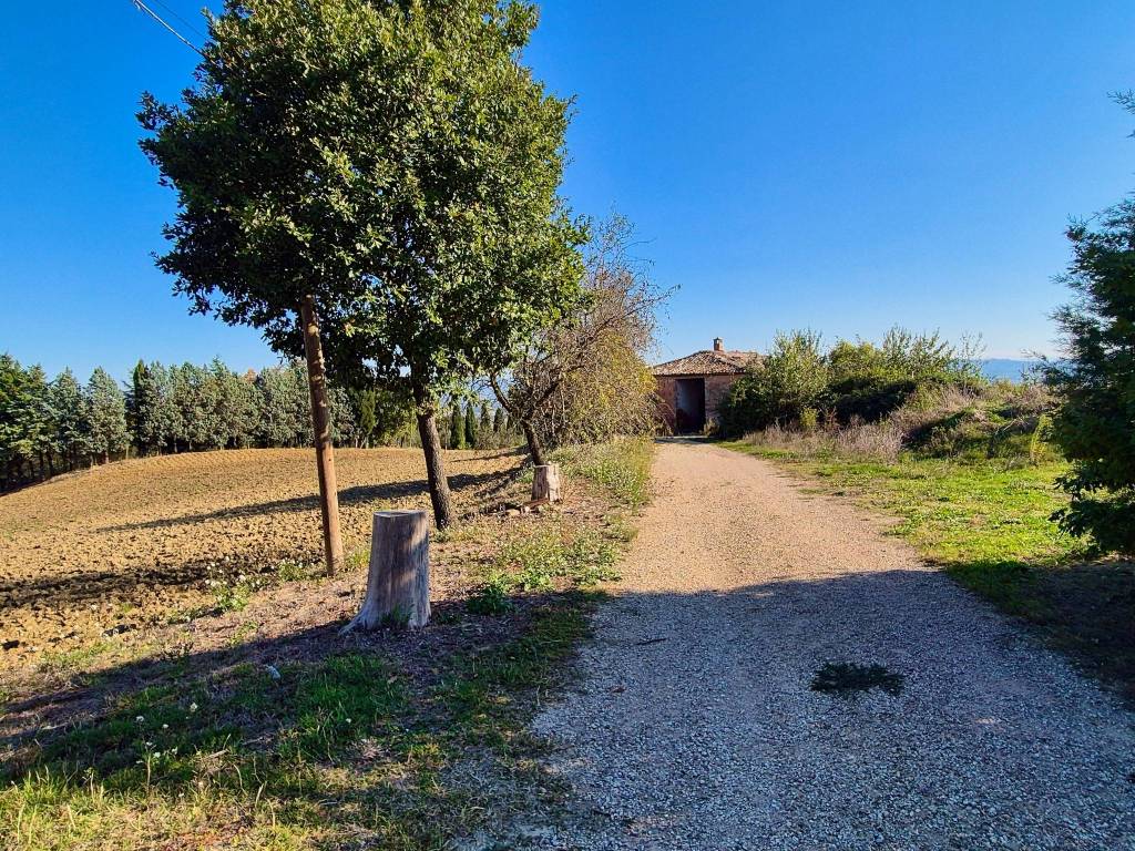 Rustico / casale a Fratta todina in Via Spineta - Foto 5