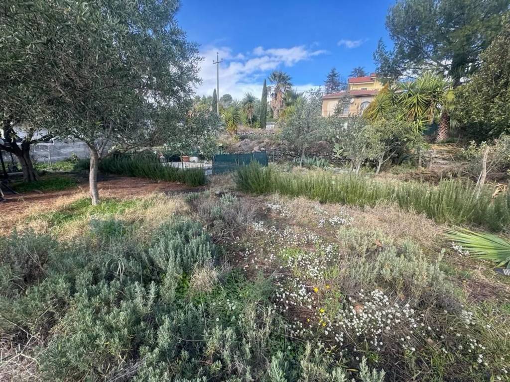 Terreno a Mascalucia - Foto 2