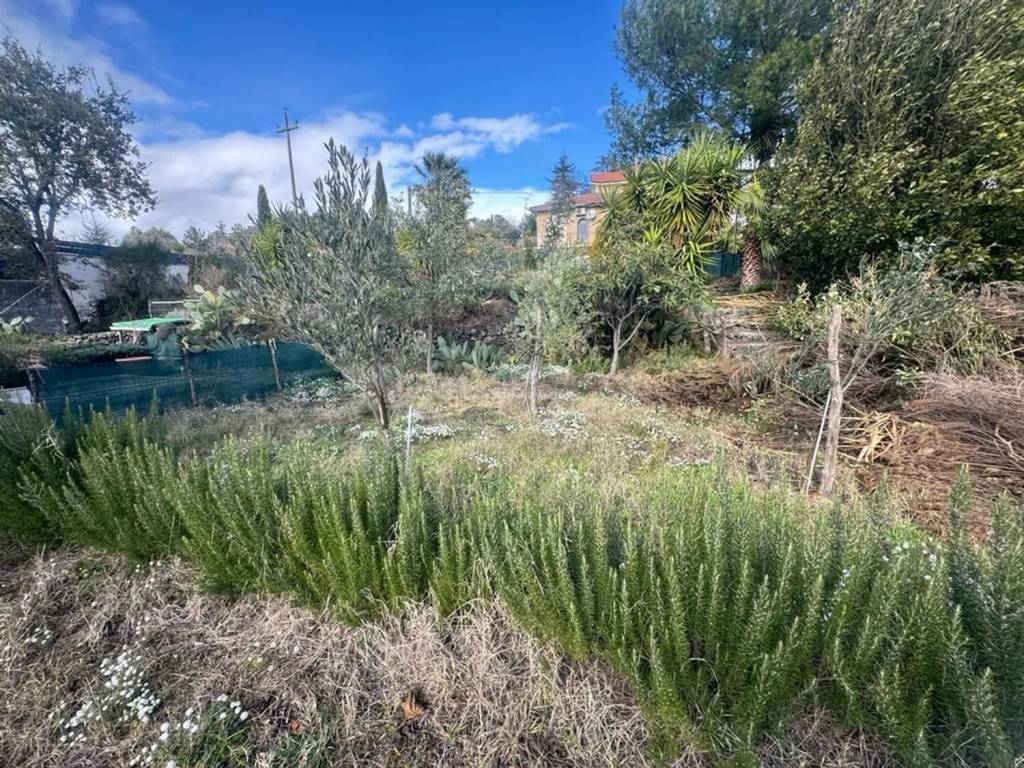 Terreno a Mascalucia - Foto 3