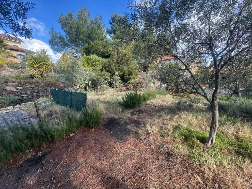 Terreno a Mascalucia - Foto 4