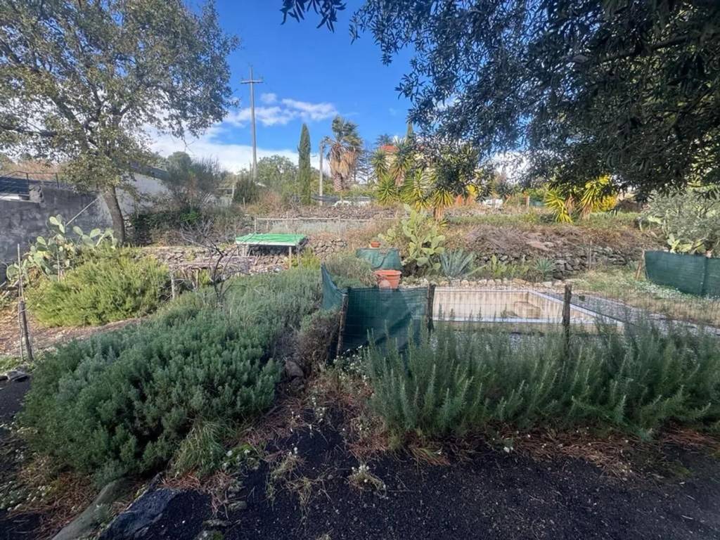 Terreno a Mascalucia - Foto 5