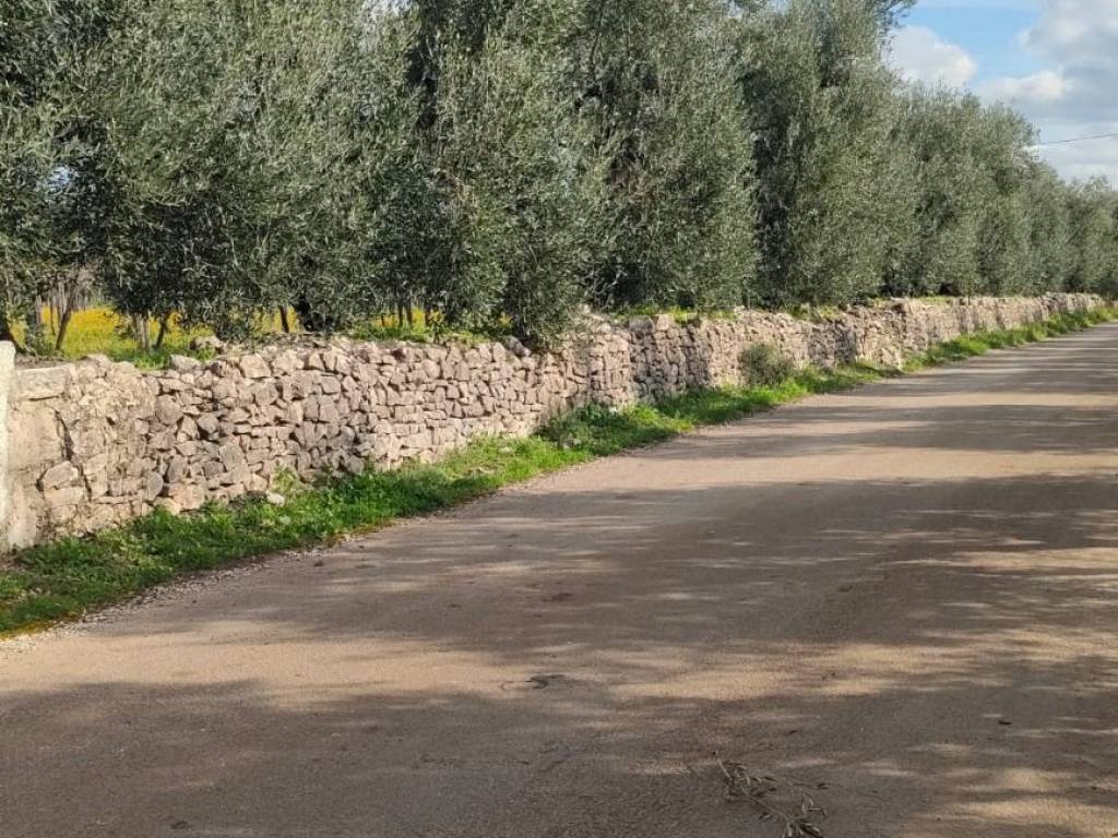 Terreno a Corato in Strada Esterna Boccotero - Foto 2