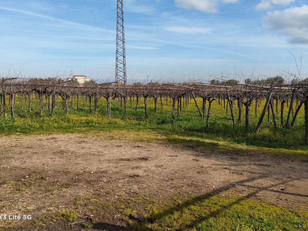 Terreno a Corato in Strada Esterna Boccotero - Foto 3