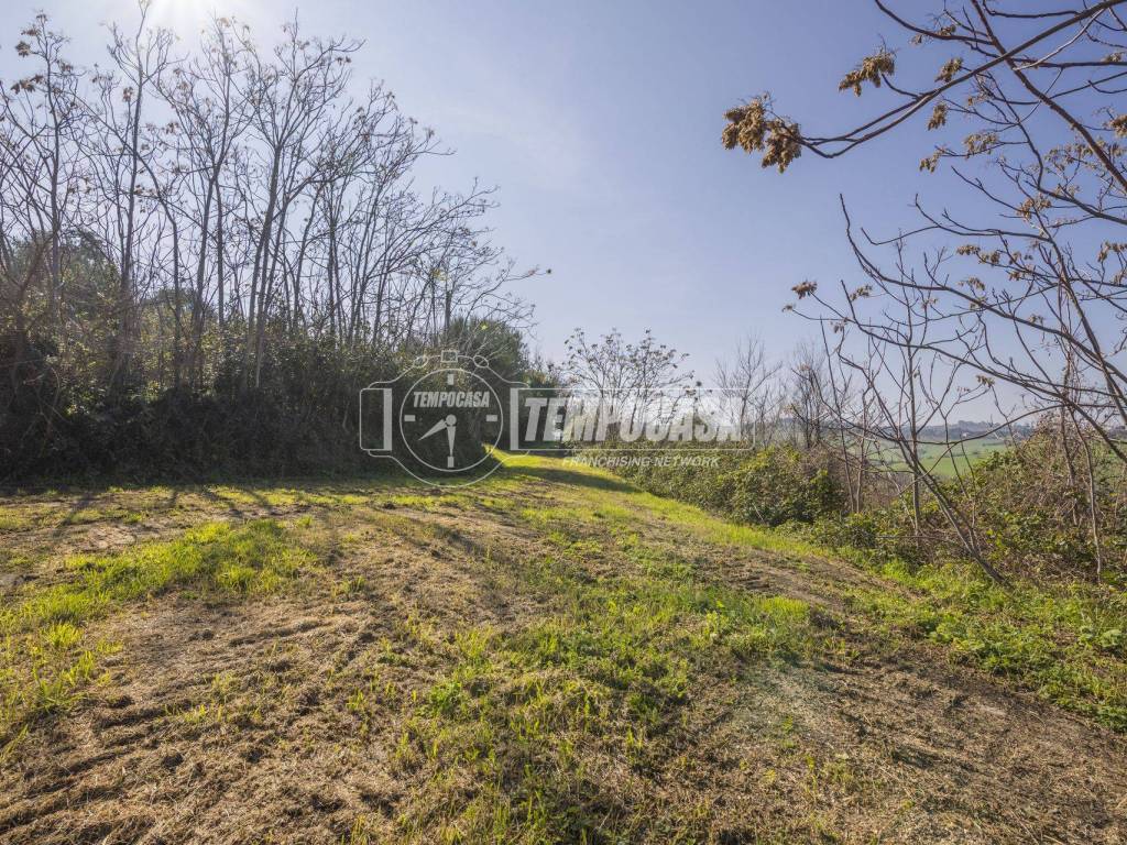 Rustico / casale a Senigallia - Foto 2