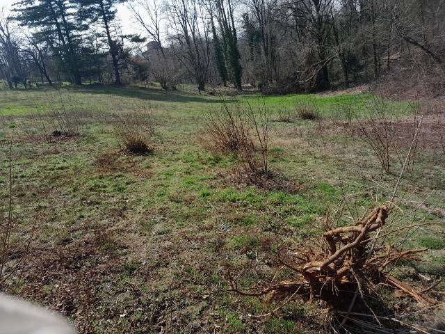 Terreno a Miradolo terme in Via Ca' De Rho' - Foto 3