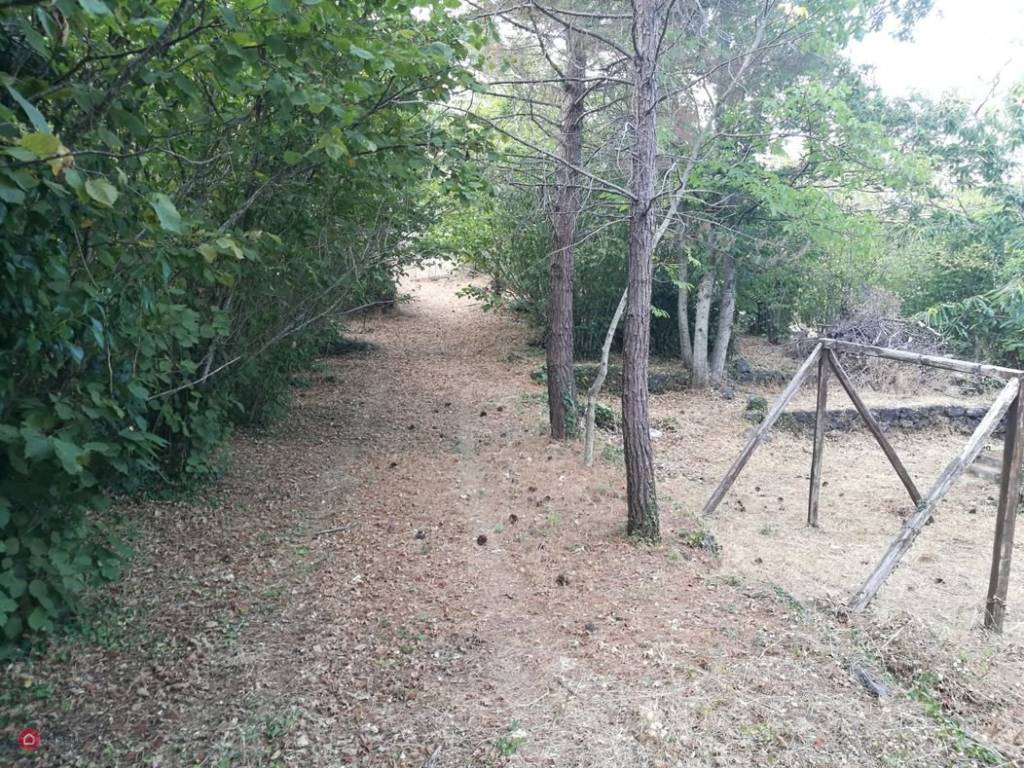 Rustico / casale a Mascali in Via Ciurrovio - Foto 2