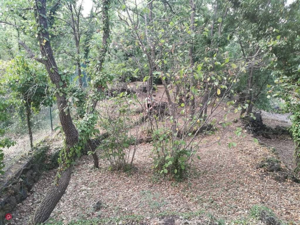 Rustico / casale a Mascali in Via Ciurrovio - Foto 5